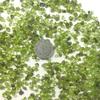 100g 2-4mm Natural Stone Perido Quartz Olivine Green Crystal Mineral Specimen Rock Chip Gravel Rough Raw Gemstone Decoration-100g 2-4mm_ view 3