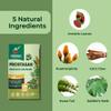Prostasan Prostate Blend - Herbal Tea Annatto Leaves (Achiote), Humanpinta, Cat's Claw (Ua de Gato), Horsetail (Cola de Caballo) and Soldier's Herb (Matico) - 25 Teabags from Peru for Prostate Care view 4