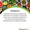 NaturesPlus Immune Microbiome 10 Billion CFU - Immune Support Probiotic Supplement -19 Strains, Prebiotics and Vitamin D3 - Vegan, Gluten Free - 30 Capsules view 4