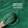Organic Spirulina & Chlorella 2000mg - 300 Tablets - Broken Cell Wall - Cold Pressed Pure Supplement with No Additives (75 Day Supply) by Alpha01 view 4