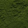Biotiva Chlorella Powder Organic 100g - Chlorella Vulgaris - Algae - Packed and Controlled in Germany (DE-ECO-005) view 2