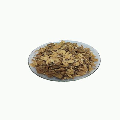 SALAB PUNJA - SALAM PANJA - HATTA HADDI - MARSH ORCHID (500 G)