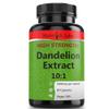 High-Strength Dandelion Extract Capsules (10:1) 5,000mg Per Capsule - 90 Per Bottle, Vegan Safe, UK Manufactured view 1