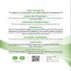 Bodygenix TMG (Trimethylglycine) Capsules - 500mg Antioxidant Digestion Liver Cardiovascular Health Support Vegan Friendly Natural Supplement - 240 Capsules 6 Month Supply view 2