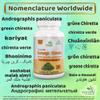 Andrographis Kalmegh Capsule view 3