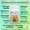 Andrographis Kalmegh Capsule view 4