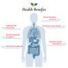 Foods For Gut Lactobacillus Bulgaricus Probiotic Powder 50 Billion cfu's | Made in USA | No Additives | Digestive & Immune Support | High Potency | L. Bulgaricus | 30 Grams (1.05 Oz) view 4