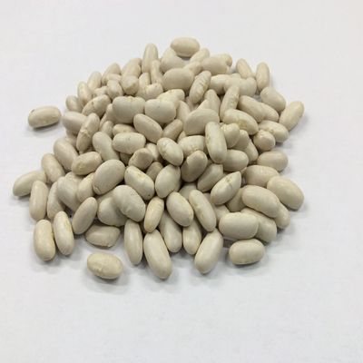 Cannellini Beans A Grade Premium Quality Ethically Sourced Free UK P&P (200g)