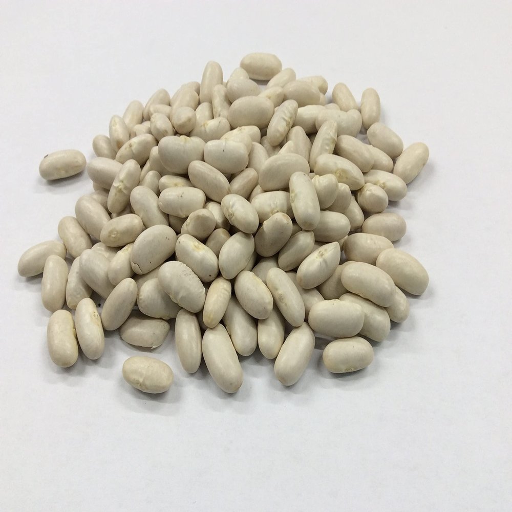 Cannellini Beans A Grade Premium Quality Ethically Sourced Free UK P&P (200g)