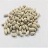 Cannellini Beans A Grade Premium Quality Ethically Sourced Free UK P&P (200g) view 1