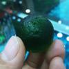 1PC Green Moldavite Czech Meteorite Impact Glass Rough Stone Crystal Energy Stone-26MM_1PCS view 3