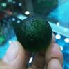 1PC Green Moldavite Czech Meteorite Impact Glass Rough Stone Crystal Energy Stone-26MM_1PCS view 4