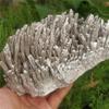 1pcs AAAA Primary ore Magnesium ore Crystal Silver Magnesite Quartz Crystal Mineral specimens The Color is Unique and beautiful-900g-950g_1pcs view 2