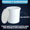 M1SS 25 Litre hardwearing white Plastic Bucket with Resealable Tamper Evident white Lid ideal For storage of water, food, animals food and mixing soil, cement, paint, plaster, or other materials view 2