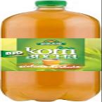 Kombucha Green Tea BIO 2 l - Bio Linie