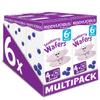 Kiddylicious Blueberry Mini Wafers - Gluten and Dairy Free Kids Snack - Suitable for 6+ Months - 6 x 4 Twin Packs view 1