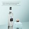 1883 Maison Routin Premium Triple Sec Syrup for Cocktails, Mocktails & Lemonade, Orange Citrus Notes, Vegan, No Artificial Ingredients, Colours or Preservatives - 1L Glass Bottle view 2
