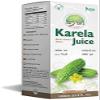 Aryan Karela Juice 1ltr (Pack of 1) Promotes Healthy Immune Health Anti-inflammatory Properties Supports Sugar Level Promotes Vision Level view 1