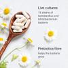 Probiotics Complex 50 Billion CFU - Bio Cultures Probiotics for Gut Health - Vegan Probiotic Supplements for Women Men Adults - 60 Acid-Resistant Capsules - 15 Strains with Prebiotics & Acidophilus view 4