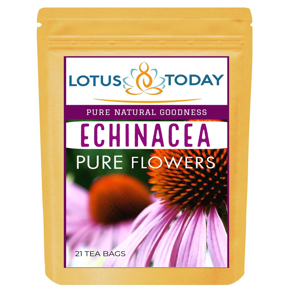 Echinacea, Pure Echinacea flower Herbal Tea 21 Tea bags