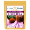Echinacea, Pure Echinacea flower Herbal Tea 21 Tea bags view 1