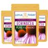Echinacea, Pure Echinacea flower Herbal Tea 21 Tea bags view 2