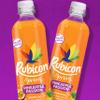 Rubicon Spring 12 Pack Pineapple Passion, Sparkling Spring Water with Real Fruit Juice & Natural Flavours, Only 15 Calories - 12 x 500ml Multipack Bottles view 4