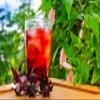 Karibbean Flavours Sorrel Concentrate | Hibiscus Syrup Cordial | 750 Ml / 26 Fl Oz. | Makes Refreshing Cool Drink | Natural Vitamin C view 2