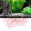 Alvinlite Chips Crystal Stone Crystal Quartz Tumbled Stone Chips Irregular Shaped Stones for Home Decorative(Pink) view 4