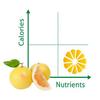 Citrosept Organic Grapefruit Seed Extract with bioflavonoids GSE 1500, 50 ml view 4
