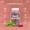 Probiotic Gummies 5B CFU - Bacillus Coagulants Bio Live Bacteria Supplement - 60 Vegan Gummies - Cherry Flavour - By Alpha01 view 4