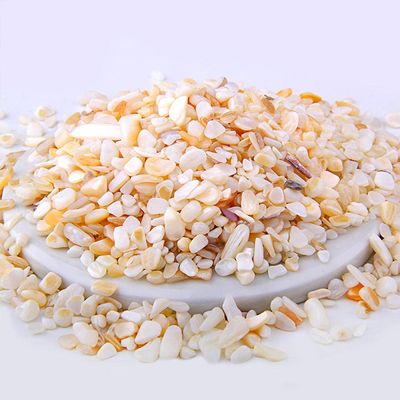 Colorful 3-5MM 20G 50G 100G Mixed Natural Gravel Chip Beads Irregular Energy Gem Stone Beads for Fish Tank Bonsai Decoration-Shell Beads_100G