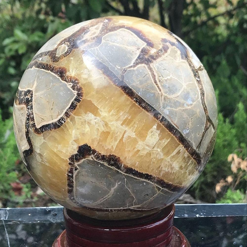 1000g Rare Natural Septarian Dragon Crystal Gem Geode Mineral Specimens