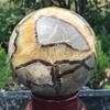 1000g Rare Natural Septarian Dragon Crystal Gem Geode Mineral Specimens view 3