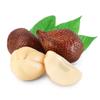 Fresh Snake Fruit (Salak) x 4 | Indonesian Exotic Fruit | Sweet & Tangy Crunchy Flesh | Premium Tropical Produce view 1