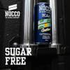 NOCCO Energy Drink | BCAA, 180mg Caffeine sugar free drinks enhanced with amino acids and vitamins | pre workout fizzy drinks 12 x 330ml (Caribbean) view 3
