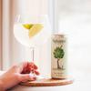 Nuisance Premium Soft Drinks | Wild Nettle & Elderflower Sparking Drink | Natural Flavours and Low Calorie | 12 x 250ml cans view 3