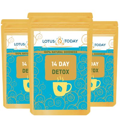 Detox Tea with Aloe Vera Gentle and Total Cleanse Tea Sleep Time Diet Tea Tummy Comfort 40 Bags