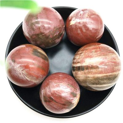 1PC Natural Petrified Wood Silicified Crystal Sphere Ball Energy Healing Decoration Natural Stones and Minerals-48-50mm