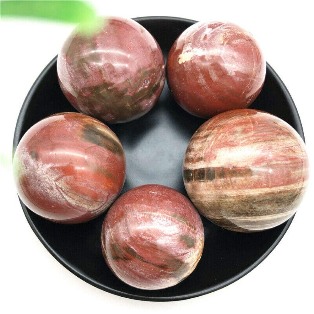 1PC Natural Petrified Wood Silicified Crystal Sphere Ball Energy Healing Decoration Natural Stones and Minerals-48-50mm