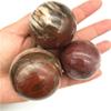 1PC Natural Petrified Wood Silicified Crystal Sphere Ball Energy Healing Decoration Natural Stones and Minerals-48-50mm view 3