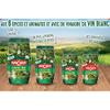 Amora - Croq'Vert Pickles Extra Fine 370G - Lot of 3 - Price Per Lot - Fast Delivery view 2