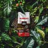 Kimbo Coffee, Espresso Napoli, Italian Whole Coffee Beans, Dark Roast, 10/13, 6 x 1kg view 2