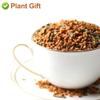 Plant Gift Organic Green Tea - Loose Leaf Japanese Genmaicha Tea 170g/6oz  Genmai Matcha Roasted Brown Rice Blend view 4