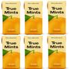 True Mints Orange Flavour (12-pack) - Sugar Free Mints - Xylitol Mints - Fruit Pastilles - Sugar Free & Plantbased Travel Sweets with Natural Flavours view 1