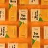 True Mints Orange Flavour (12-pack) - Sugar Free Mints - Xylitol Mints - Fruit Pastilles - Sugar Free & Plantbased Travel Sweets with Natural Flavours view 3