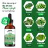 LIPOSOMAL Chlorophyll Drops, Chlorophyll Liquid, Face and Body Cleanser, Alcohol Gluten-Free Liquid Chlorophyll | Energy Supplement, Immune Support, Natural Deodorant, 60ml, Baanaas view 3