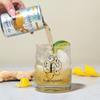 Folkington's Dry Ginger Ale, 24 Pack, Artisan Mixer with Natural Botanics, 3 x 8 Pack of 150 ml (24 Cans Total) view 2