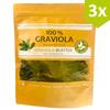 3 x 100 g Premium Soursop leaves  New Harvest  Natural  Without Pesticides  Direct from the manufacturer Graviola.de view 4