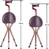Walking Stick, Walking Cane with Folding Seat - Tripod Folding Walking Stick Seat, Disability Aid Folding Seat Cane (Walking Stick & Chair Seat) for The Elderly, People with Reduced Mobility view 3
